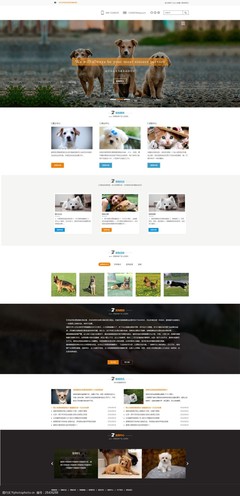 萌寵之家 打造用戶喜愛的寵物網(wǎng)頁設計模板指南