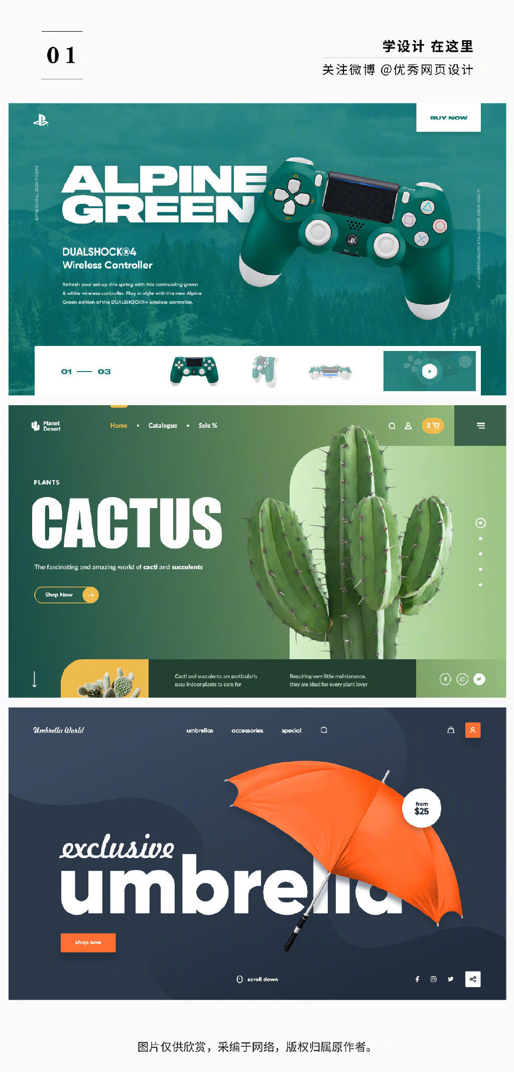 高端大氣國際范！從Anna Senkova的網頁設計中學習企業營銷策劃